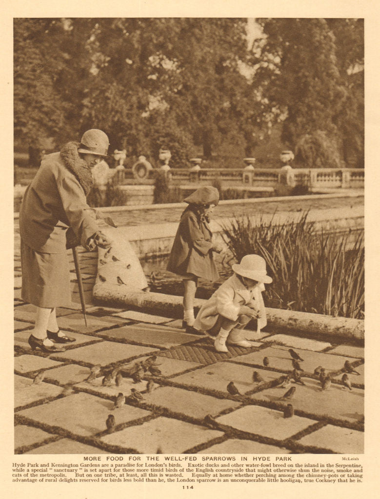 Children feeding sparrows in Hyde Park 1926 old vintage print picture